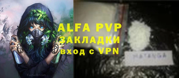 Альфа ПВП Гусь-Хрустальный