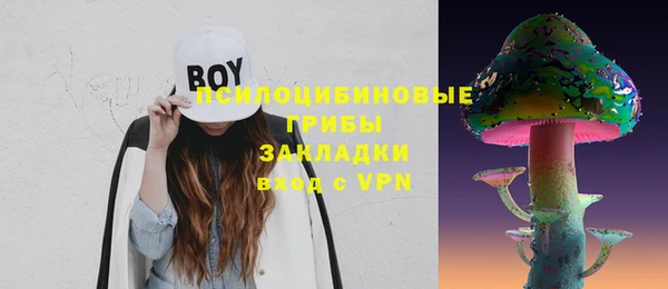 Альфа ПВП Гусь-Хрустальный