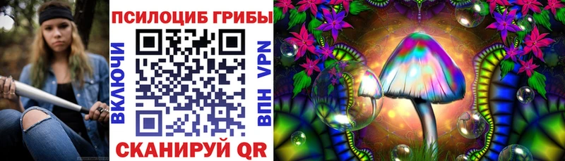 hydra рабочий сайт Жуков Псилоцибиновые грибы MAGIC MUSHROOMS где купить наркоту